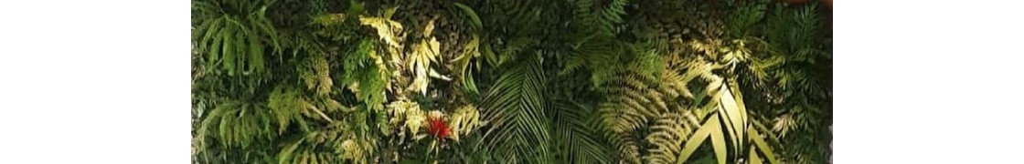 JARDINS PRESERVADOS